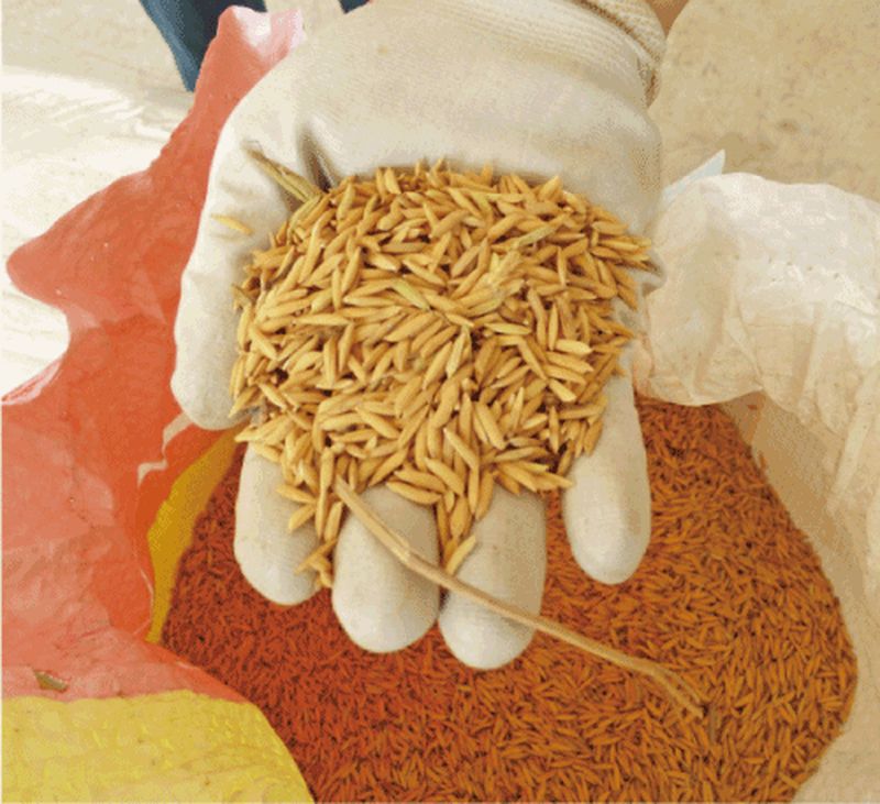 Agricultural machine | Product Info | Tiger Kawashima Co.,Ltd.